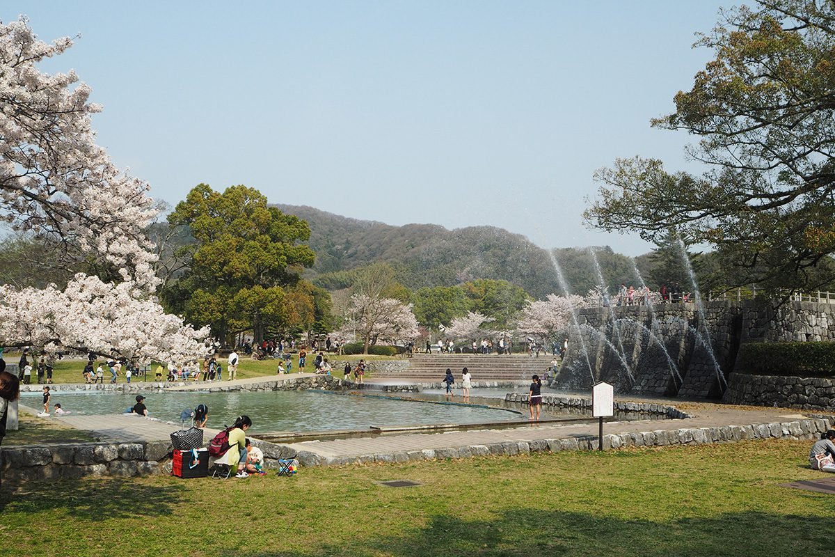 ⛩️ 깃코 신사 (킷코 진자) 이미지 4